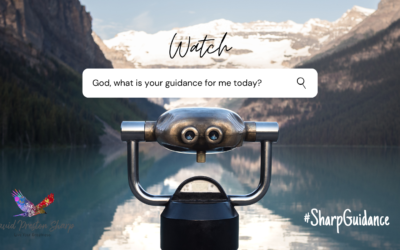 Guidance & Reflection – Week 143