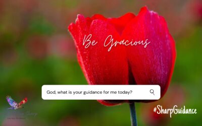 Guidance & Reflection – Week 149